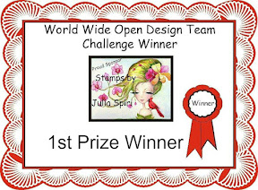 I Won 1st Prize at World Wide Open Design Team Challenge