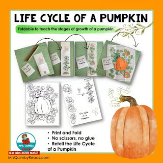 life cycle of a pumpkin