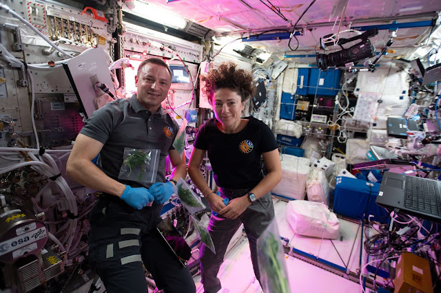 Army Col. (Dr.) Andrew Morgan, a USU graduate, spent nine months aboard the International Space Station in 2019. (Photo credit: NASA)