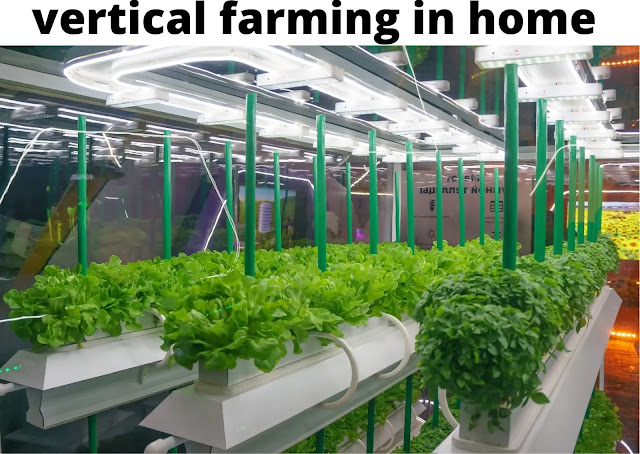 VERTICAL FARMING | खड़ी खेती |