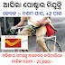 Chhattisgarh Postal Recruitment 2022, Indian Postal Vacancy 