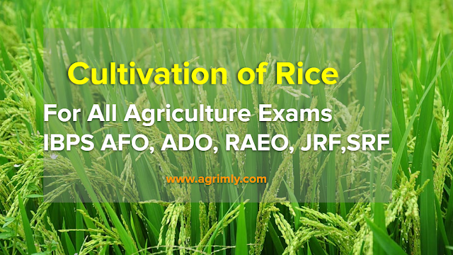 Agrimly - Agriculture Students Family: Cultivation of Rice -for All  Agriculture Exams IBPS AFO, ADO, RAEO, JRF, SRF