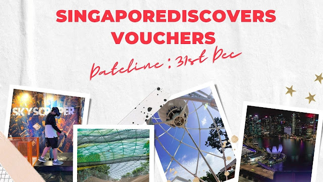 SingapoRediscovers Voucher Redemption Dateline on 31 Dec : Here are 5 family activites to book