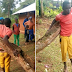 19-year-old man nailed to a tree for allegedly stealing radio