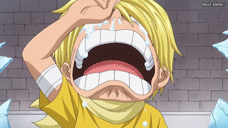 ワンピースアニメ WCI編 803話 サンジ 幼少期 過去 Sanji's childhood | ONE PIECE Episode 803