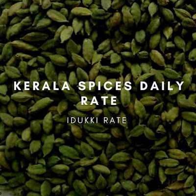 Kerala spices Daily price and spices board live auction Date 28/12/2021