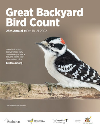 Great Backyard Bird Count 2022