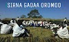 Sirna Gadaa Oromoo - Oromo Gadaa System