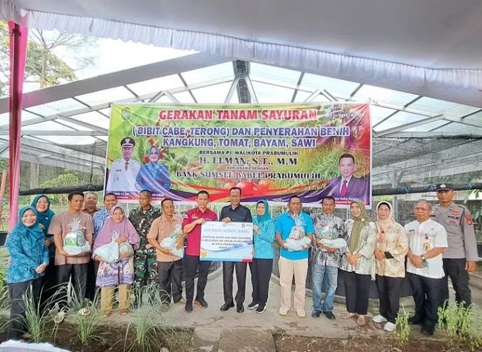 Prabumulih, 22 Maret 2024                  Gerakan tanam sayuran ( bibit cabe, terong) dan penyerahan benih kangkung, tomat bayam dan sawi bersama Penjabat walikota prabumulih Bapak H.Elman, ST. MM beserta ketua Penjabat TP.PKK Kota prabumulih ibu Hj.Windriana yang bekerja sama dengan bank sumsel babel kota prabumulih.                                                  Turut hadir Lurah Patih Galung Bapak Deny Eka Saputra, SP, Ketua TP.PKK Kelurahan Patih Galung Ibu Fhelpy Mariza Putri, Camat Prabumulih Barat Bapak Edi Suanto, SH.M.Si, Ketua TP.PKK Kecamatan Prabumulih Barat Ibu Asmarani, Babinsa, Bhabinkamtibmas, Ketua RT RW, dan linmas.                                                  Bertempat di pokdakan al barokah jl jend sudirman gang arjuna RT 005 RW 002 kelurahan patih galung kecamatan prabumulih Barat. @elman_prabu@denytajudin @fhelpy_06 @edisuanto74 @asmarani_makmun @dkp.prabumulih @pertanian.prabumulih @dinasperikanan.prabumulih @diskominfoprabumulih @spbeprabumulih @kecamatanprabumulihbarat 