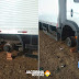 CAMINHONEIRO DE JACOBINA E ESPOSA SÃO VÍTIMAS DE ASSALTO NA BR-324