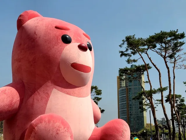 아련한 핑크곰