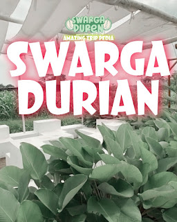 Area Sekitar Swarga Durian Kediri Jawa Timur