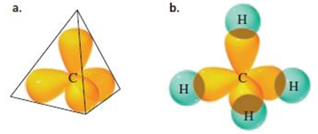 What is sp2 Orbital. What is SP Orbital.