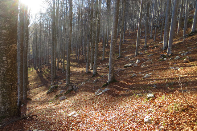 monte pizzoc rifugio vittorio veneto cansiglio