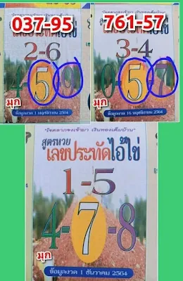 Thai Lottery 1-12-2021