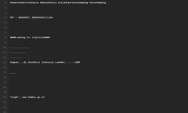 Figure 1: Credentials of Kemkes INA-CBG