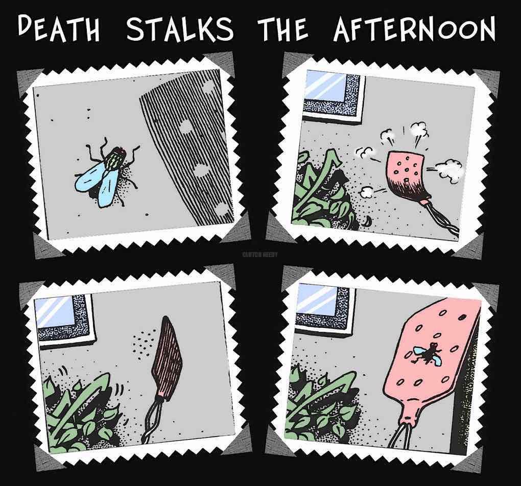 A housefly killing cartoon by Clutch Needy