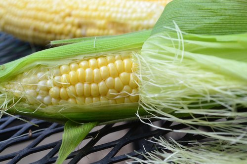 benefits of corn hair