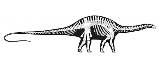 New study uncovers novel approach to plant-based diet, unique to long-necked dinosaurs