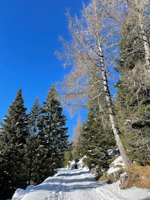 Asiago Passeggiata sulla neve in Val Formica