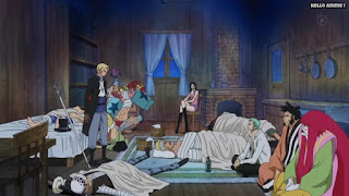 ワンピースアニメ ドレスローザ編 738話 サボ ルフィのビブルカード | ONE PIECE Episode 738