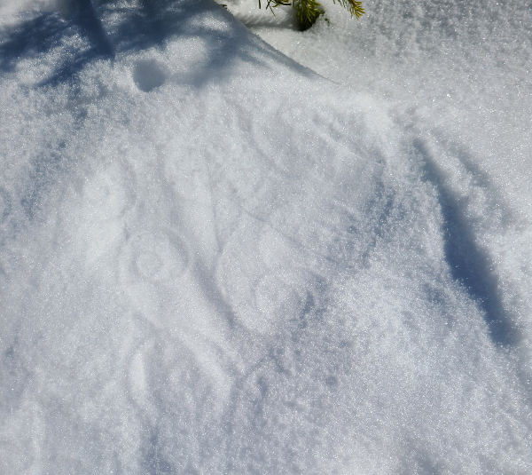 quilting lines in the snow | DevotedQuilter.com