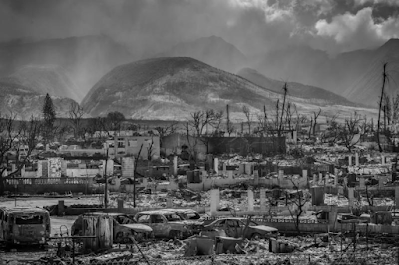 black and white photographs showing burnt remnants of car, homes, and hillside following wildfires in Lahaina, Maui