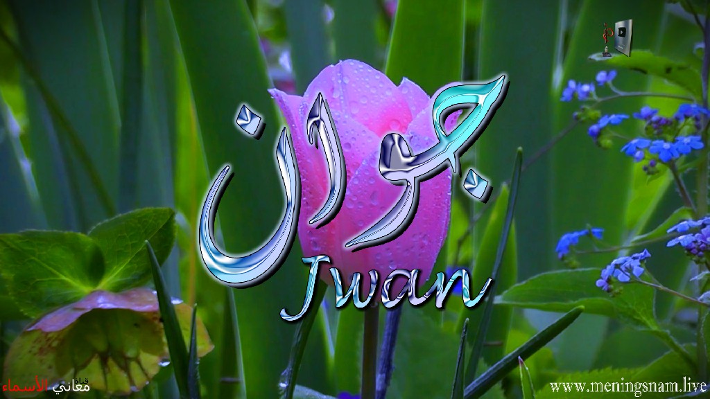 معنى اسم, جوان ,وصفات, حامل, وحاملة, هذا الاسم, Jwan,