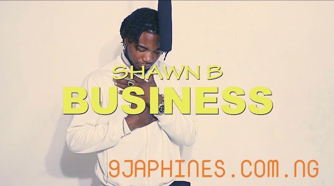 SHAWN B _ BUSINESS VIDEO MP4