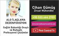 ALO İLAÇLAMA HAŞERE KONTROL