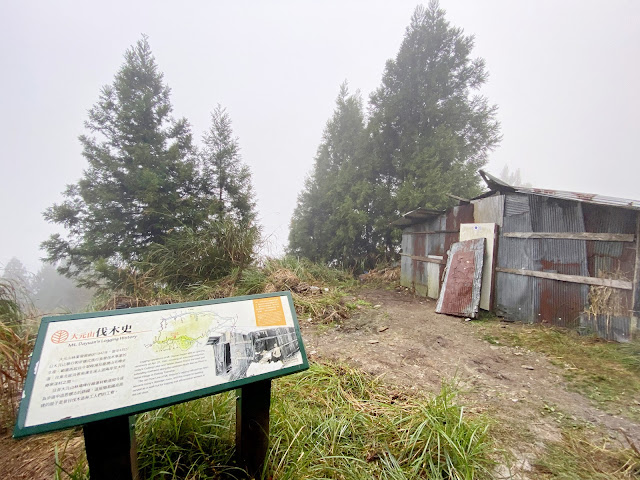 太平山山毛櫸步道 太平山山毛櫸步道