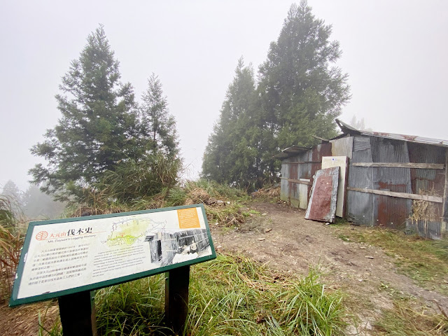 太平山山毛櫸步道