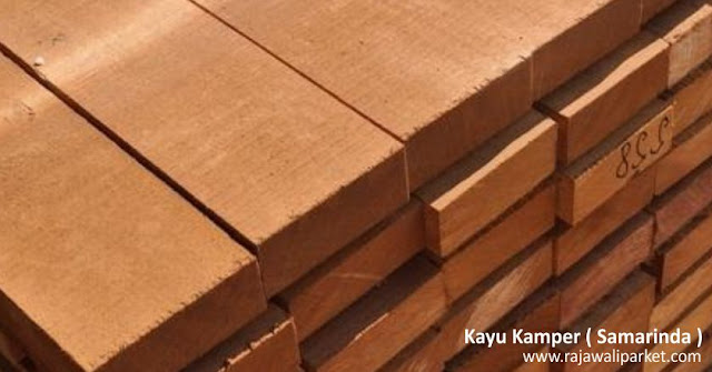 Kayu Kamper