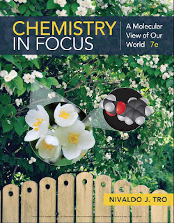 Chemistry in Focus A Molecular View of our World 7th Edition