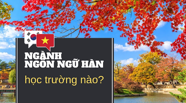 Review Ngành Ngôn ngữ Hàn Chọn đúng Nghề Chọn đúng Trường