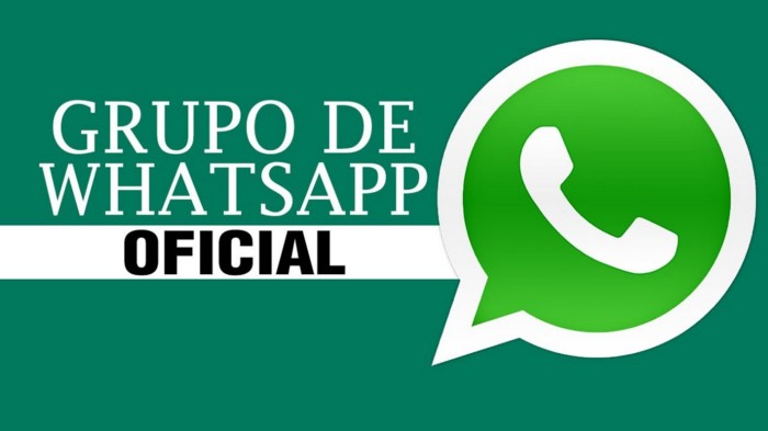 GRUPO WHATSAPP