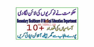 Specialized Healthcare Department Punjab Jobs 2022 – Government Jobs 2022