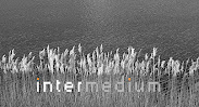Intermedium