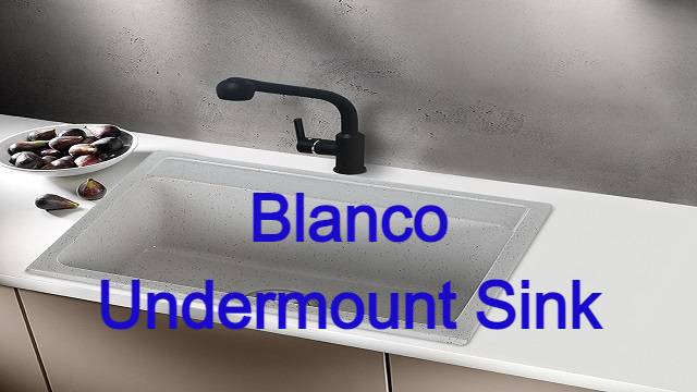 Blanco Undermount Sink
