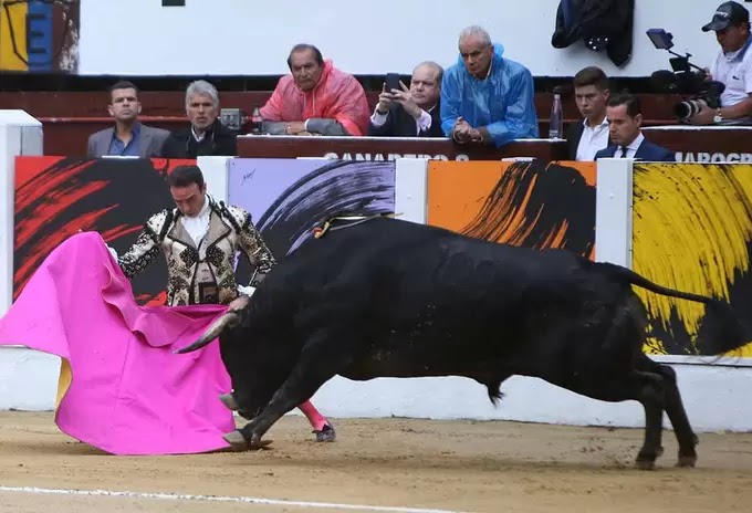 Corridas de toros no se prohibirán en Colombia: se hundió el proyecto de ley