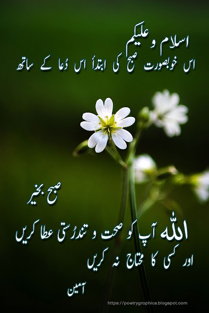 WhatsApp dp urdu dua