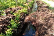 Diduga Pekerjaan Normalisasi Tali Air Dari Dinas Pekerbunan Serat Kecurangan