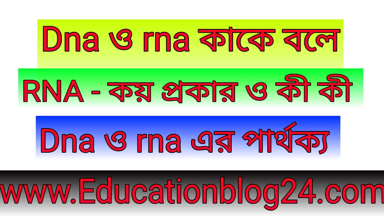 Dna ও rna কাকে বলে- RNA - কয় প্রকার ও কী কী - আর এন এ কত প্রকার ও কি কি  | Dna ও rna এর পার্থক্য