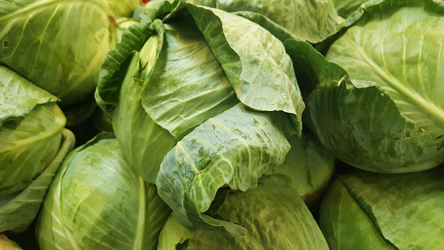 Secrets Healthy benefits of Cabbage