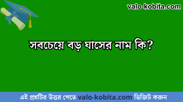 সবচেয়ে বড় ঘাসের নাম কি?
