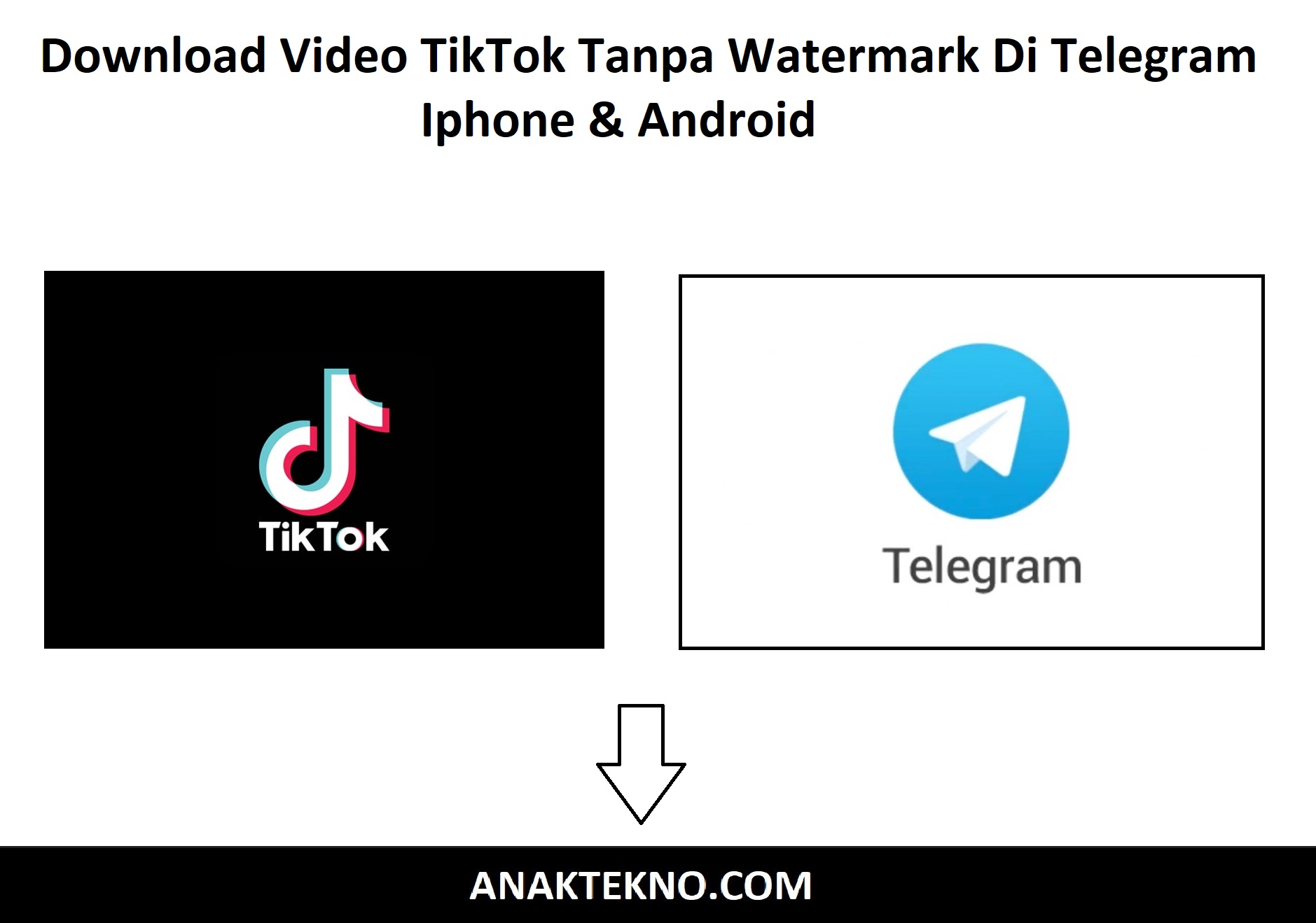 Download Video TikTok Tanpa Watermark Di Telegram Iphone & Android