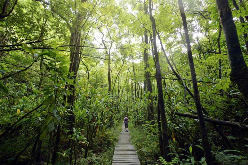 The 7 Best Hikes in Haleakalā National Park