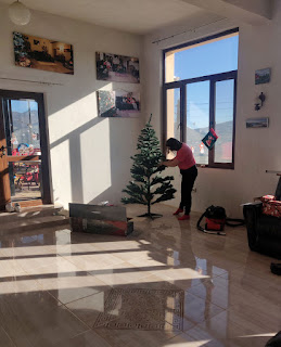 Angela starts to get the tree put up