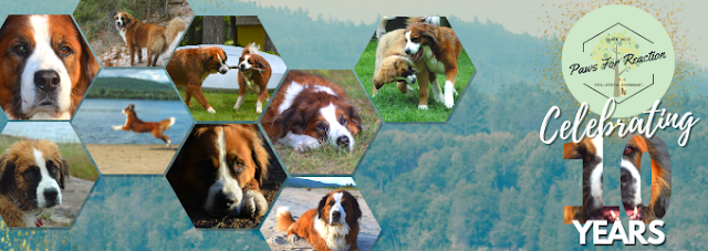 Paws For Reaction Ottawa Dog Blog celebrates 10th anniversary