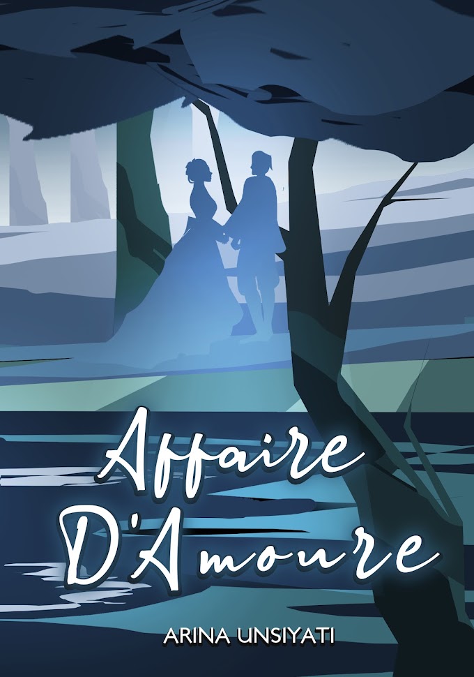Novel : Affaire D'Amour